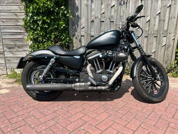 Harley Davidson sportster XL 883N iron beschikbaar voor biedingen
