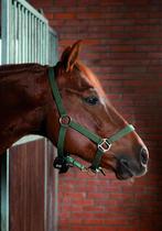 Birth Alarm te huur, Ophalen, Zo goed als nieuw, Dressuur