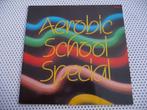 LP AEROBIC SCHOOL SPECIAL PICTURE PLAAT, DANCE POPUL. MUZIEK, Cd's en Dvd's, Verzenden, Zo goed als nieuw, 12 inch, Dance