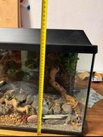 Terrarium ., Ophalen, Gebruikt, ., .