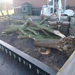 Haardhout te koop, Minder dan 3 m³, Ophalen of Verzenden