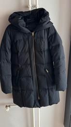 HALLHUBER DONZEN JAS NIEUW L  zwart van 325,00 voor 65,00, Maat 38/40 (M), Zwart, Nieuw, Ophalen of Verzenden