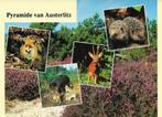 Ansichtkaart	Austerlitz	Pyramide	5-luik	Natuur, Verzamelen, Verzenden, 1980 tot heden, Gelopen, Utrecht