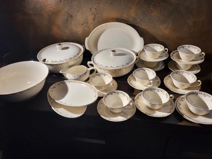 Petrus Regout Servies - Compleet!, Huis en Inrichting, Keuken | Servies, Gebruikt, Compleet servies, Overige stijlen, Aardewerk