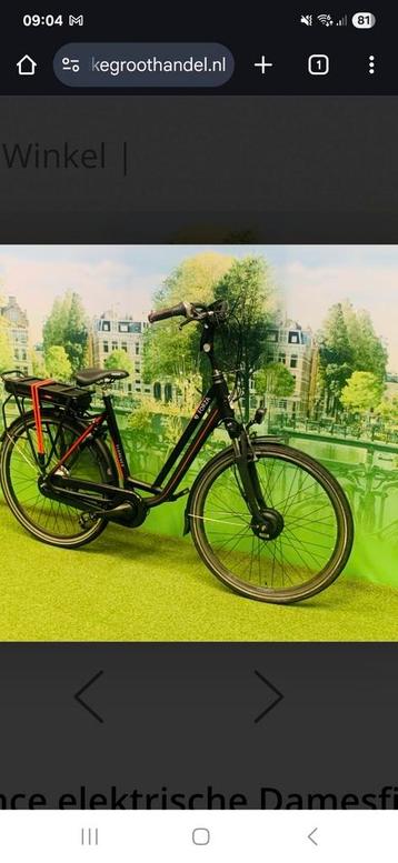 Forza florence voormotor beschikbaar voor biedingen