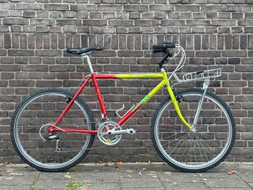 Batavus Buster Actionline (1989) Vintage MTB/Retro Citybike beschikbaar voor biedingen