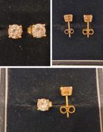 Gouden Blush Oorbellen (Zie Omschrijving), Verzenden, Nieuw, Goud, Goud