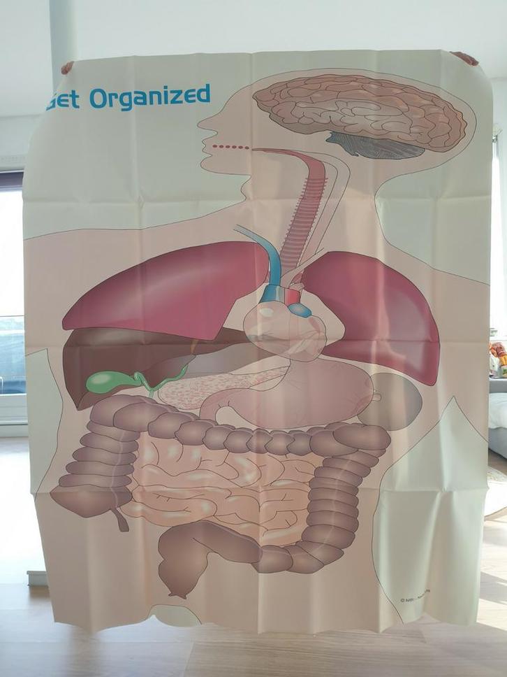 Anatomie - doek - Menselijk lichaam, Diversen, Schoolbenodigdheden, Zo goed als nieuw, Ophalen of Verzenden