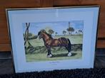 Gesigneerde print Welsh Cob hengst Parc Welsh Flyer, Ophalen of Verzenden