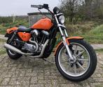 Harley Davidson Sportster XLH 1100 Evolution, Motoren, Motoren | Harley-Davidson, 2 cilinders, Particulier, Toermotor, 1100 cc
