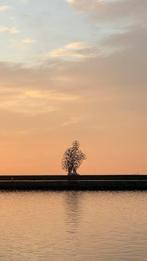 Stel zoekt studio of appartement — max €1400