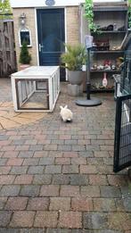 Konijnenren, Dieren en Toebehoren, Ophalen, 110 cm of meer, 60 tot 90 cm, Zo goed als nieuw