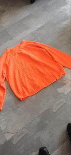Tka bijna nieuw truitje van bonita staat l meer xl oksel 60, Kleding | Dames, Truien en Vesten, Ophalen of Verzenden, Zo goed als nieuw