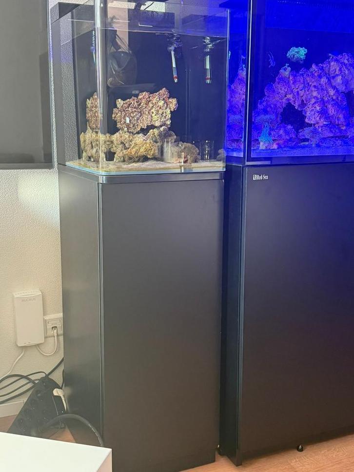 Zeer Compleet zoutwateraquarium 60L met levend steen en vis, Dieren en Toebehoren, Vissen | Aquaria en Toebehoren, Gebruikt, Gevuld zeewateraquarium