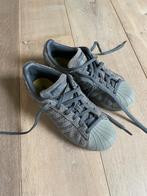 Z.g.a.n. Adidas superstar maat 36, Grijs, Zo goed als nieuw, Sneakers of Gympen, Adidas