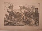 Ets van Koeien, Antiek en Kunst, Kunst | Etsen en Gravures, Ophalen of Verzenden