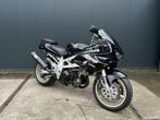 Suzuki TL 1000 S in nieuwstaat TL1000 TL1000S 1998, Motoren, Motoren | Suzuki, 2 cilinders, 996 cc, Bedrijf, Sport