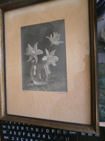 L. van Cappelle, Litho/Foto van Vaas met Narcissen beschikbaar voor biedingen