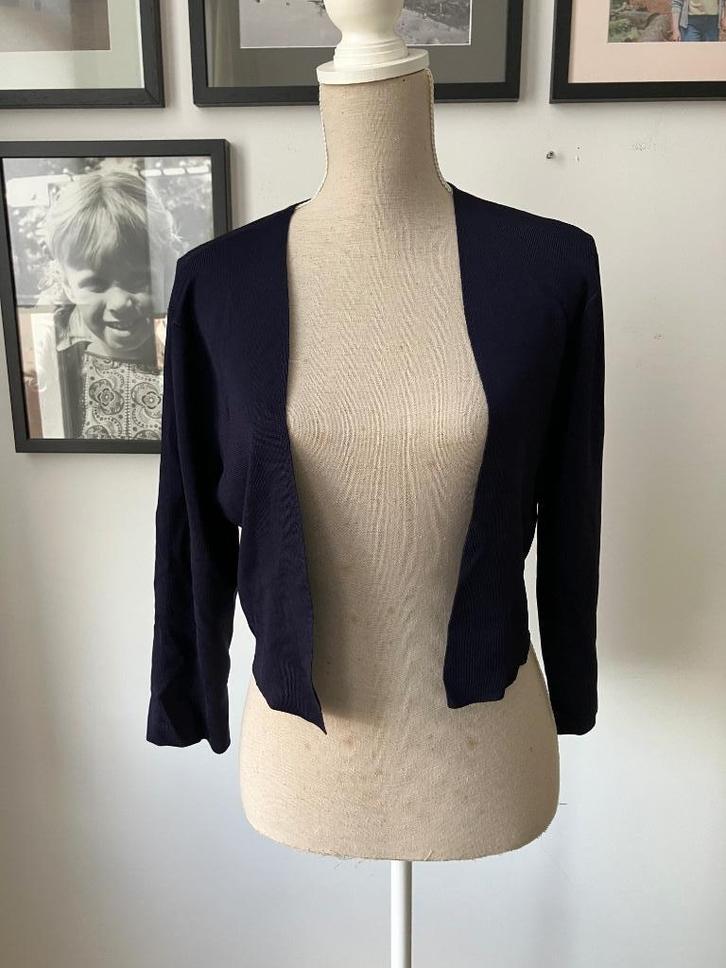 Leuk bolero vestje Phase Eight mt 44, Kleding | Dames, Truien en Vesten, Nieuw, Blauw, Ophalen of Verzenden