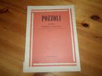 Pozzoli - guida teorico pratica 3 e 4, Les of Cursus, Gebruikt, Verzenden