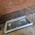 Kippen/caviahok, Dieren en Toebehoren, Ophalen, 110 cm of meer, Hok, Minder dan 60 cm