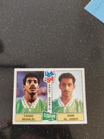 Panini usa 94 nr 326, Ophalen of Verzenden