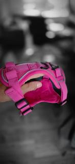 Tuigje voor kat, Dieren en Toebehoren, Katten-accessoires, Ophalen of Verzenden