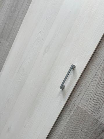 Kastdeur 48x194 cm - incl. scharnieren - redelijke staat beschikbaar voor biedingen