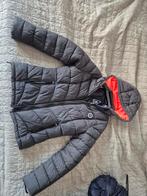 Gaastra jas - Maat L, Gaastra, Ophalen of Verzenden, Zo goed als nieuw, Maat 42/44 (L)