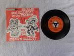 Shawn Elliott - shame and scandal in the family ( sixties ), Pop, Gebruikt, 7 inch, Single