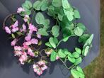Bloemen slinger + Bladeren slinger voor fiets à € 1,50 pstuk, Ophalen of Verzenden, Zo goed als nieuw, Binnen