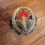 Insigne vuursteunsystemen., Ophalen of Verzenden, Landmacht, Nederland, Embleem of Badge