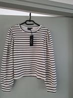 Mavi Pullover, Zwart, Nieuw, Ophalen of Verzenden, Mavi