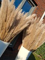 Grote voorraad pampas pluimen, Ophalen, Nieuw