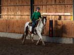Ter lease aangeboden, Jennah, irish Cob 1,55m, Dieren en Toebehoren, Paarden en Pony's | Overige Paardenspullen, Ophalen