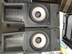 Sony SA-S1 actieve MFB elektrostatische luidsprekers., Audio, Tv en Foto, Luidsprekers, Ophalen of Verzenden, Niet werkend, Front, Rear of Stereo speakers