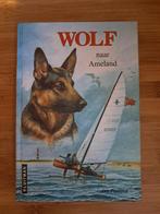 Wolf naar Ameland - Jan Postma, Ophalen of Verzenden, Zo goed als nieuw, Jan Postma, Fictie algemeen