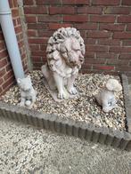 Grote betonnen leeuw. 50cm hoog, Ophalen, Gebruikt