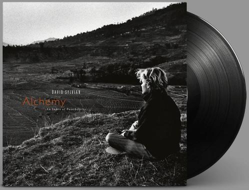Vinyl LP David Sylvian Alchemy An Index Of Possibilities NEW, Cd's en Dvd's, Vinyl | Pop, Nieuw in verpakking, 2000 tot heden
