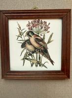 Vintage wandtegel met vogels en riet bloemen in houten lijst, Ophalen of Verzenden