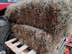 800 kleine pakjes hooi, Ophalen of Verzenden, Vee