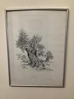 A. morey potlood tekening, Ophalen of Verzenden