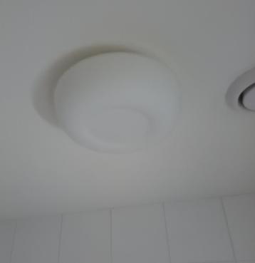 Mooie plafondlamp beschikbaar voor biedingen
