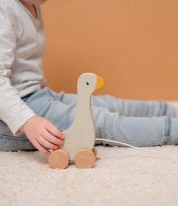 Loopgans Little Dutch beschikbaar voor biedingen