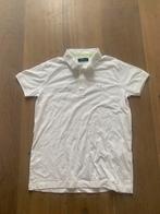 Goedkope mannen polo, Ophalen of Verzenden, Nieuw, Maat 48/50 (M), Wit