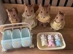 Sylvanian eekhoorn, drieling muis met wandelwagen, Verzamelen, Poppenhuizen en Toebehoren, Ophalen of Verzenden, Zo goed als nieuw