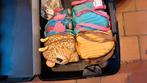 Kids backpacks and leather bag., Ophalen of Verzenden, Nieuw