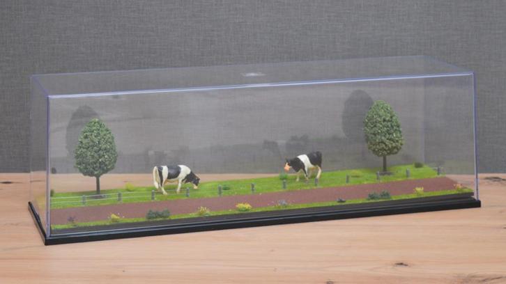 Dioramavitrine, veebouw, Hobby en Vrije tijd, Modelauto's | 1:50, Nieuw, Bus of Vrachtwagen, Ophalen of Verzenden