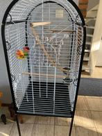 `papegaaien / parkieten kooi, Dieren en Toebehoren, Vogels | Hokken en Kooien, Ophalen, Zo goed als nieuw, Metaal, Vogelkooi