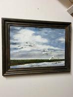 Mooi schilderij (de knobbel zwanen), Ophalen of Verzenden